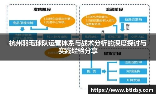 杭州羽毛球队运营体系与战术分析的深度探讨与实践经验分享
