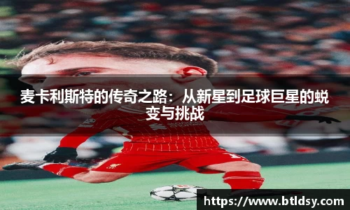 mk体育